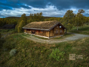 Solid and cozy cottage in a secluded location